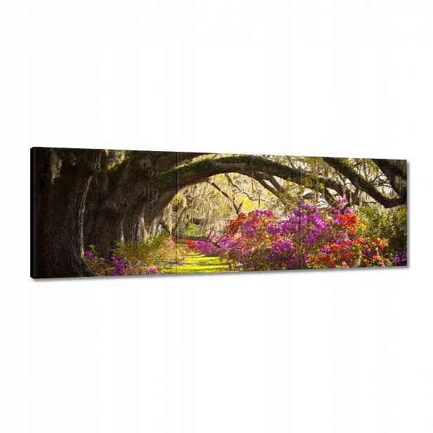 Obrazy 120x40 Květiny v parku