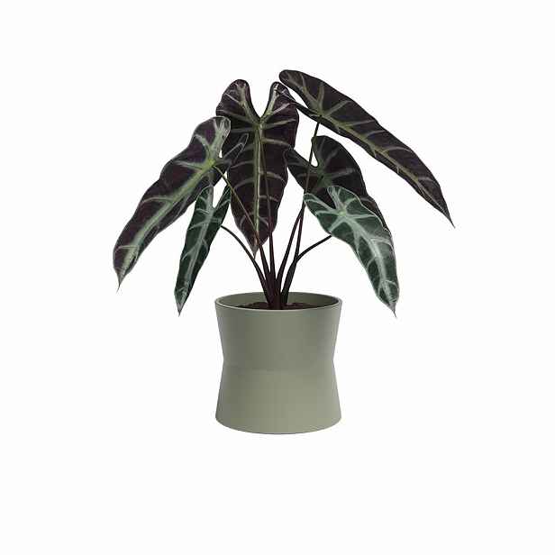 Keramický květináč ø 14 cm Diana – Artevasi