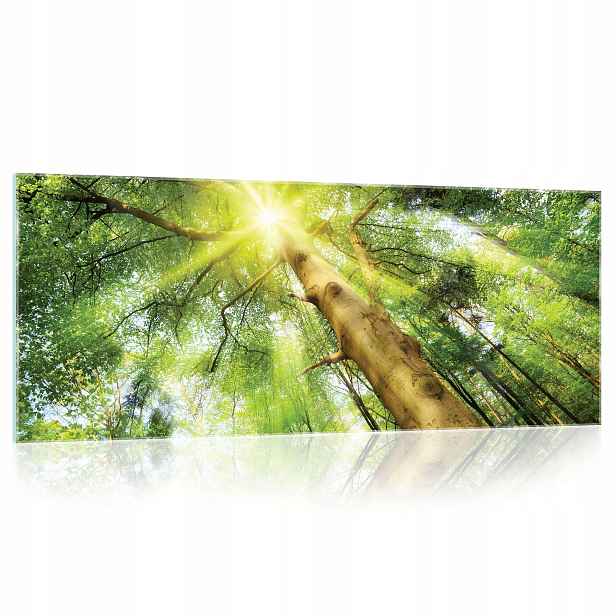 Skleněný obraz Les Stromy příroda 3D 125x50