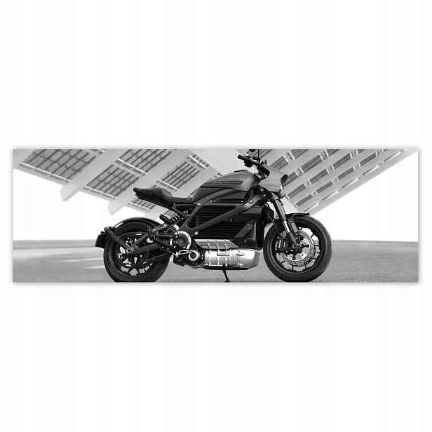 Plakáty 200x66 Harley Davidson Motocykl