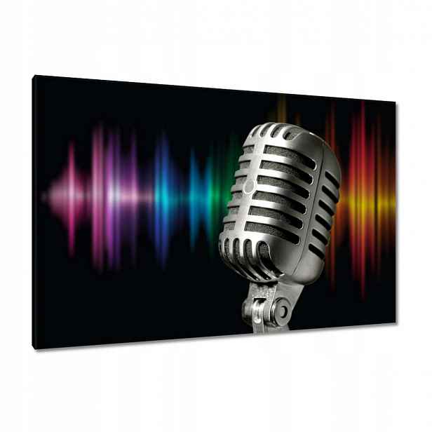Obrazy 120x80 Mikrofon