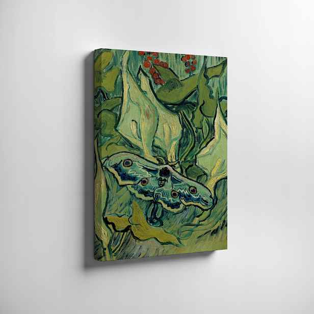 obraz na plátně Van Gogh Emperor moth 1889r. 70x50cm