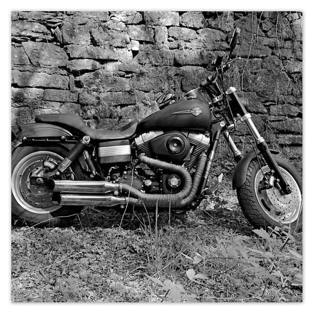 Plakáty 140x140 Harley Davidson Motocykl