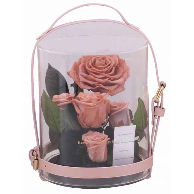 Flower Box Pravé Růže Zahrada Ve Skle Dárek