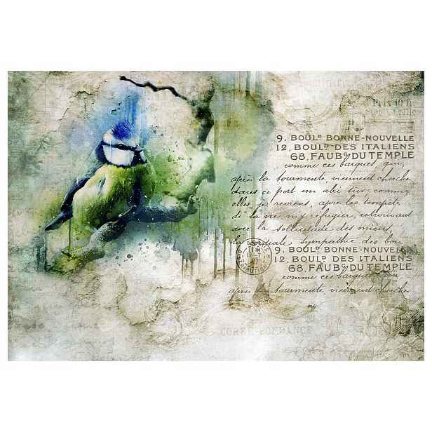 Fototapeta Pták na větvi Vintage Shabby Chic Provence 416x254 lepidlo