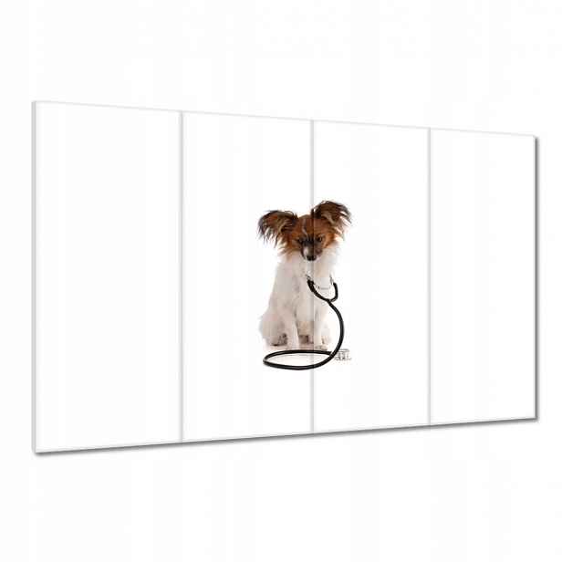 Obrazy 120x80 Pes se stetoskopem