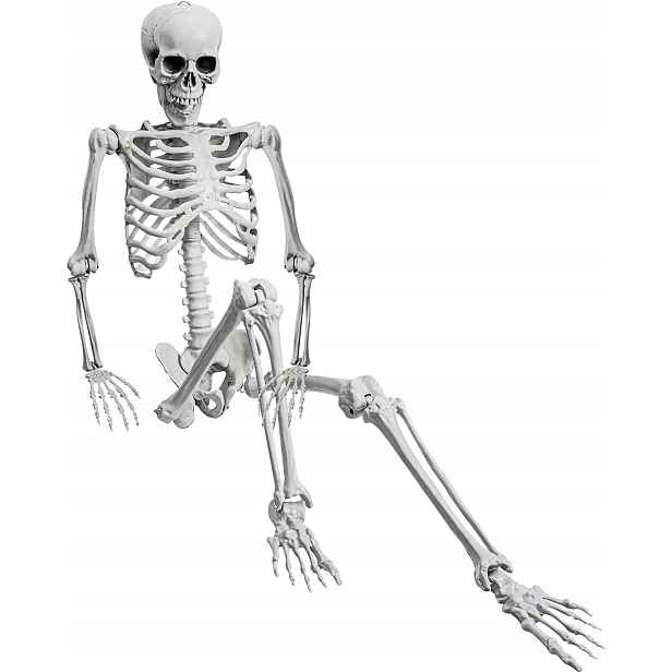 Kostra Člověka Kostra Kostlivec Lebka Dekorace Halloween 165 cm