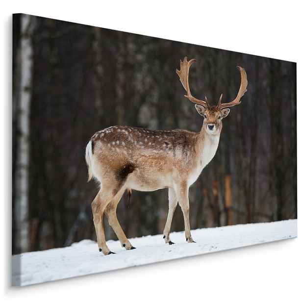 MyBestHome BOX Plátno Daněk V Zimě Varianta: 90x60