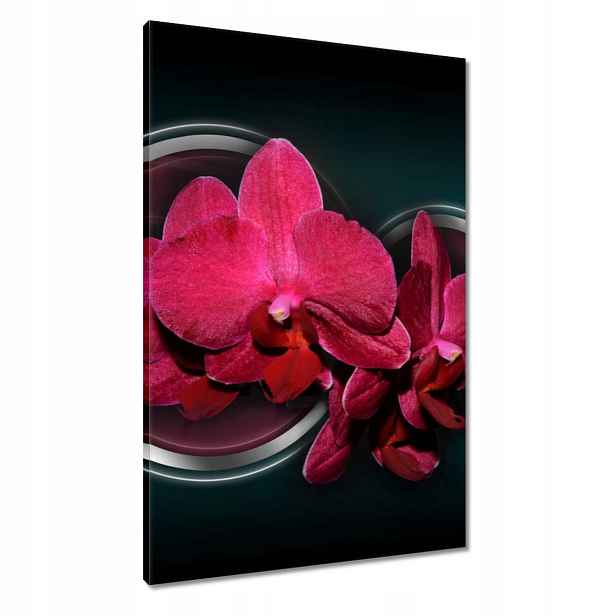 Obrazy 60x90 Fialový orchidej