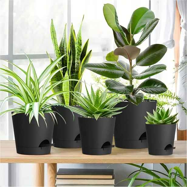 6 Plastových Květináčů S Zalévacími Miskami Pro Kancelářský Balkon