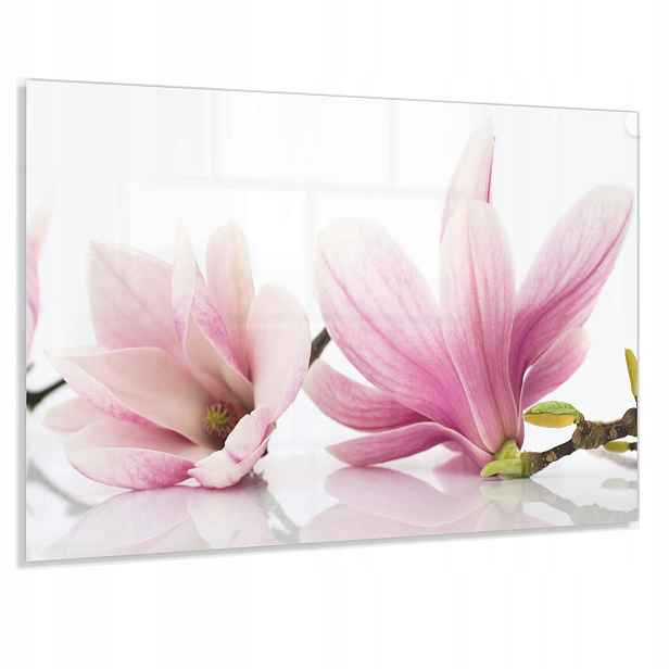 Tvrzený Panel 100x60cm 4mm Ochranný Do Kuchyně Dekorativní Lacobel