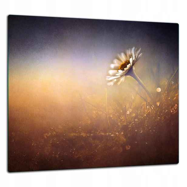 Skleněná Ochranná Deska Panel Lepidlo 65x60 Květina