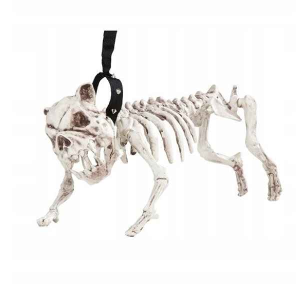 Kostra Psa Kostlivec Halloween Horor