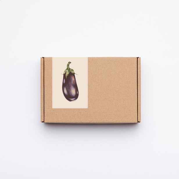 Culina Botanica Variace lilků