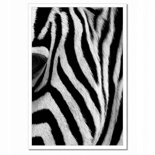 Plakáty v rámu 40x60 Černobílé pruhy Zebra