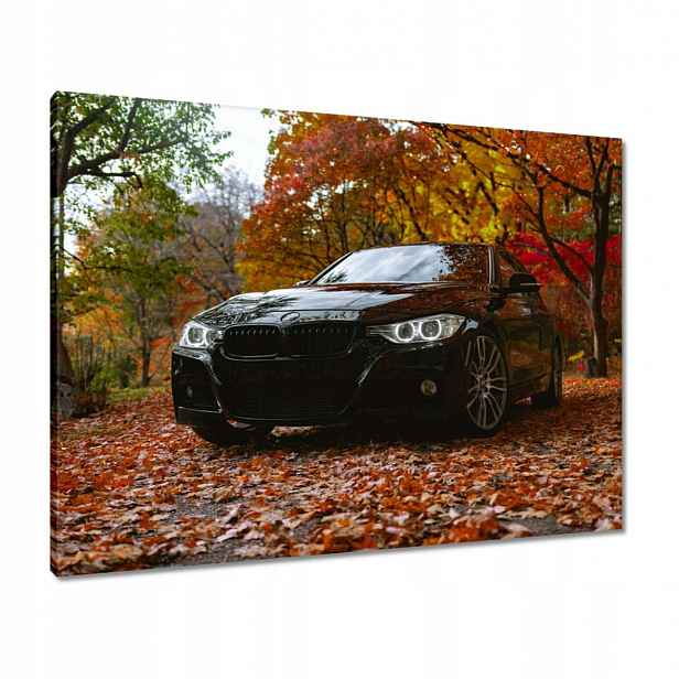 Černé obrazy 80x60 Bmw Podzim