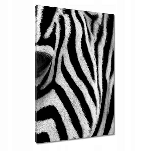 Obrazy 80x120 Černobílé pruhy Zebra