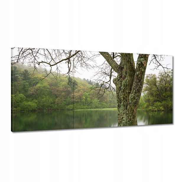 Obrazy 180x90 Strom Řeka Les