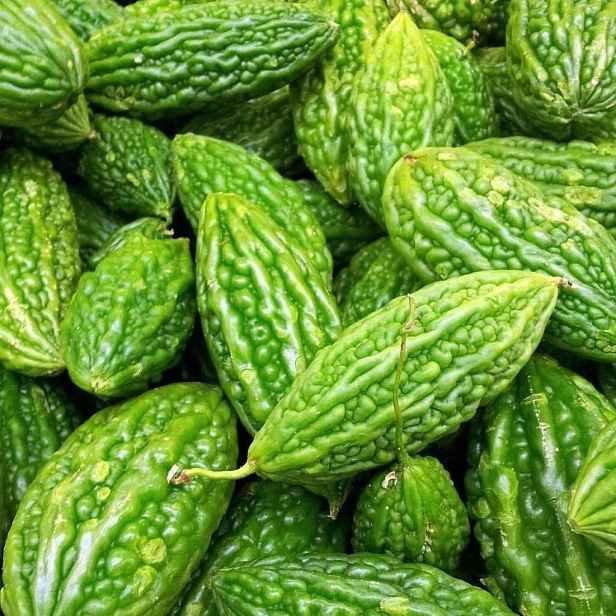 Culina Botanica Momordika hořká okurka