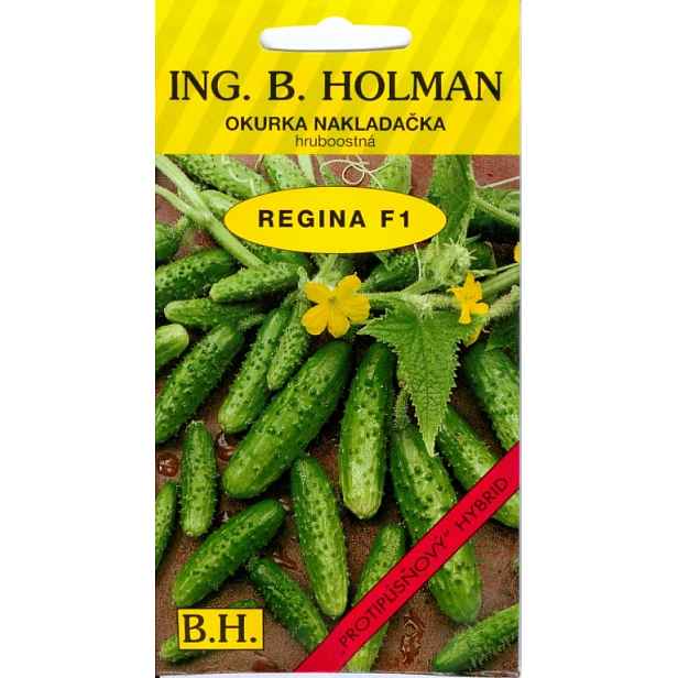 Holman Okurka nakládačka Regina F1