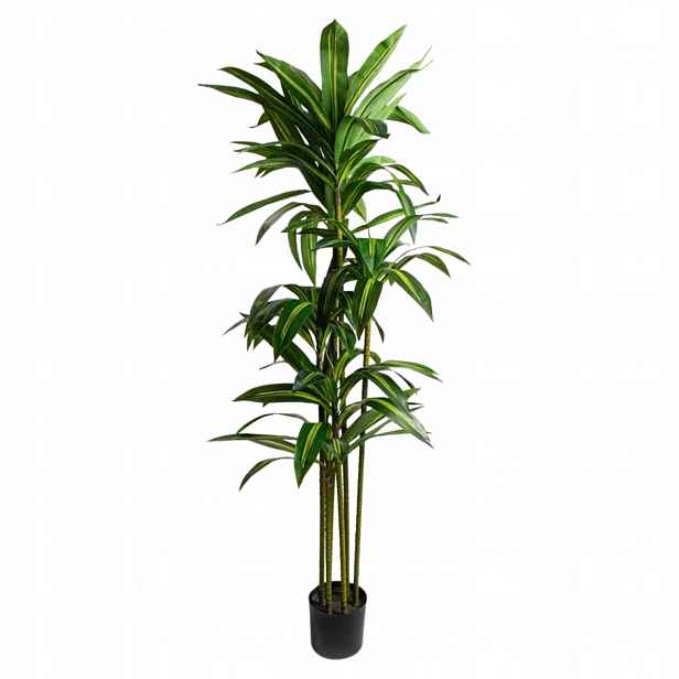 Umělá rostlina stromek Greenora exotická dracaena 160 cm v květináči Homla