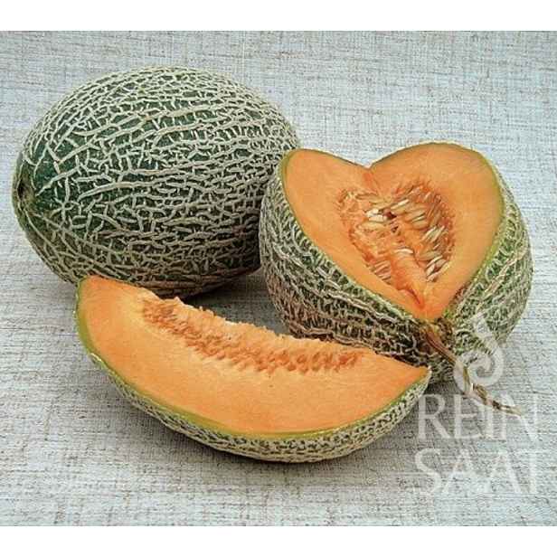 Culina Botanica Meloun cukrový Best Jumbo BIO