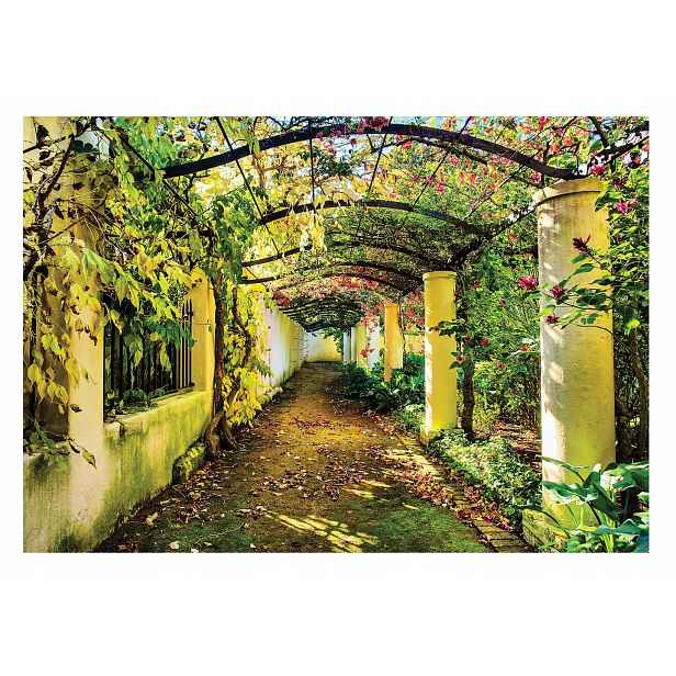 Fototapeta Zahrada 3D Pergola Příroda Do Ložnice Obývacího Pokoje Tapeta 368x254