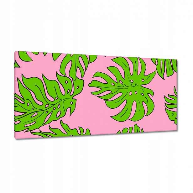 Obrazy 115x55 Monstera Zelená Růže