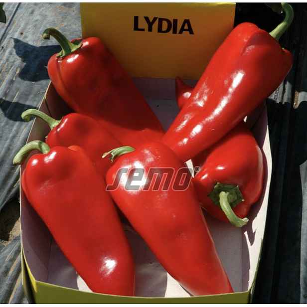 Culina Botanica Paprika Lydia