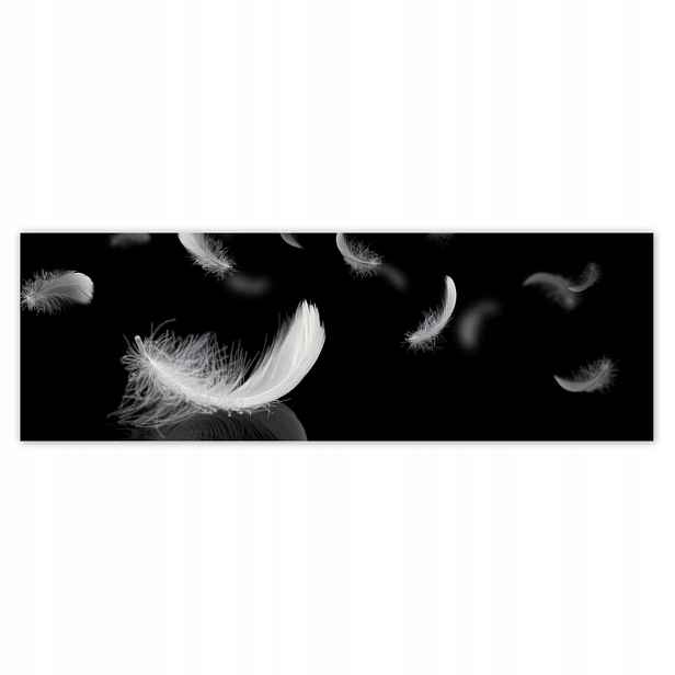 Fototapety 200x66 Padající bílé peří