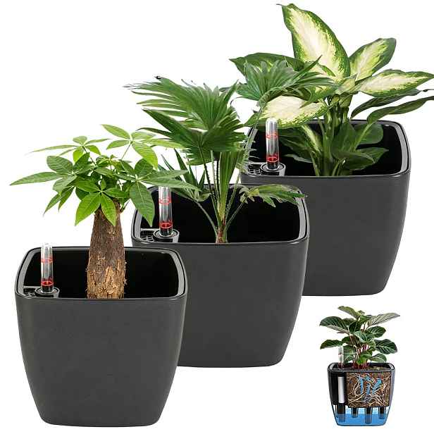 Sada 3 samozalévacích květináčů na bylinky, květiny a rostliny na balkon
