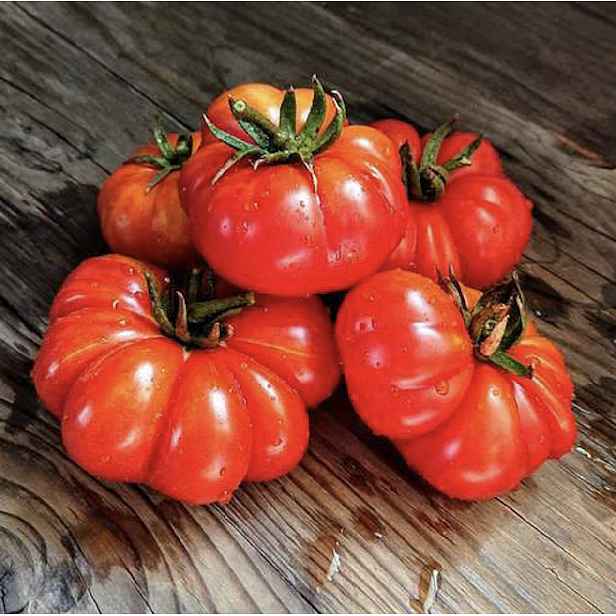 Culina Botanica Rajče tyčkové "Di Parma"