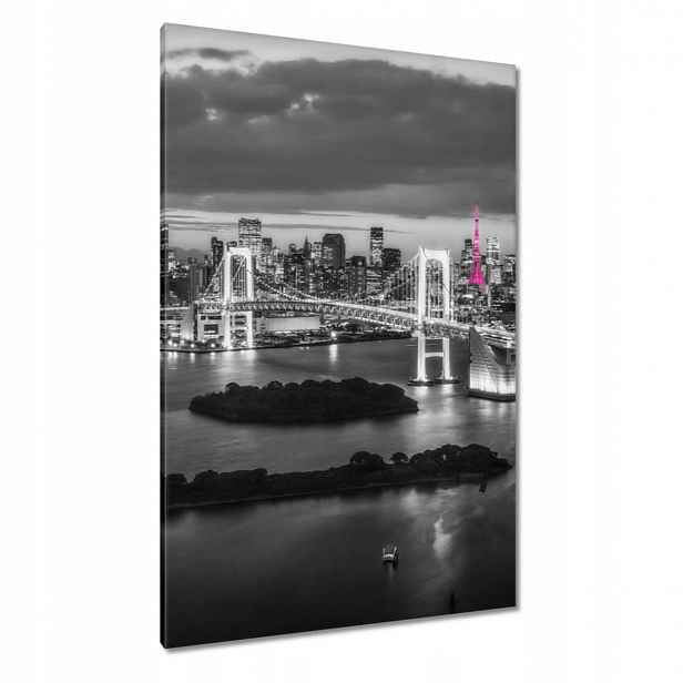 Obrazy 80x120 Růžová Eiffelova věž Most