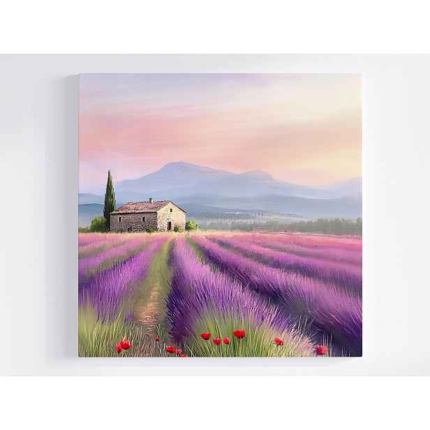 Obraz Na Plátně Plátno Krajina Francie Provence Levandulové Pole Květy 50x50