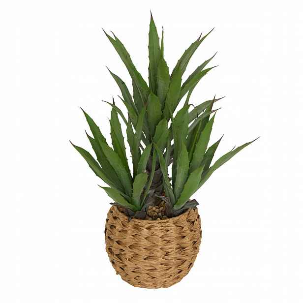 Umělá agáve Moda v pleteném květináči, v. 61 cm