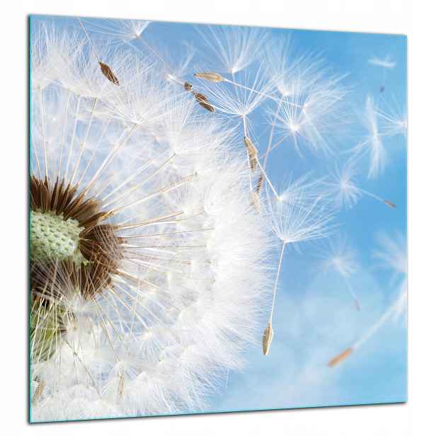 Skleněná Ochranná Deska Panel Lepidlo 60x65 Květina