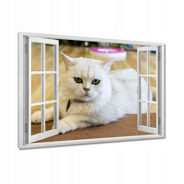 Obrazy 120x80 Kočička Kočky Kicia