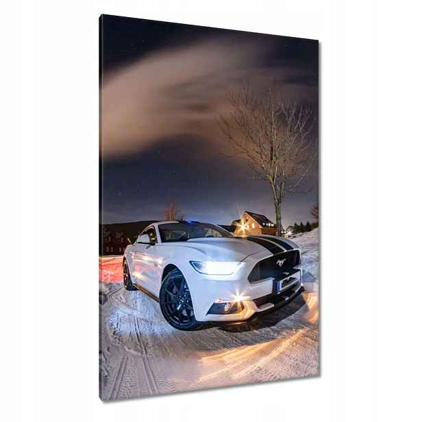 Obrazy 80x120 Bílý Ford Mustang v zimě
