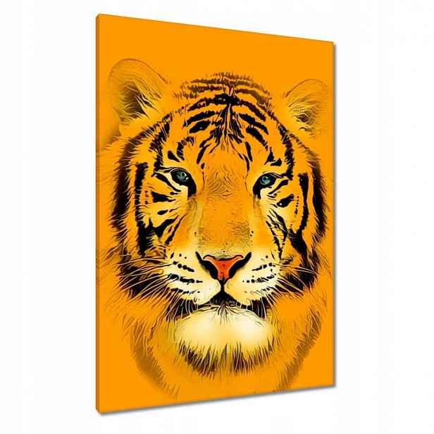 Obrazy 70x100 Oranžový tygr
