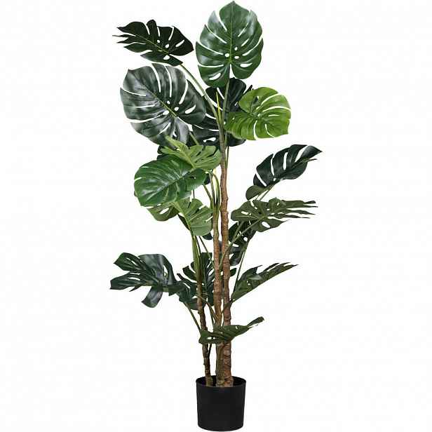 UMĚLÁ ROSTLINA filodendron monstera 160 cm