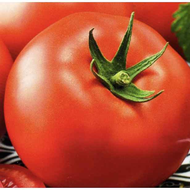 Culina Botanica Rajče keříkové Jitka