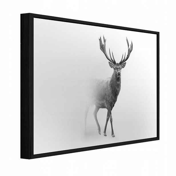 Wallarena ZARÁMOVANÉ obrazy jelen mlžně šedá 100x70 cm