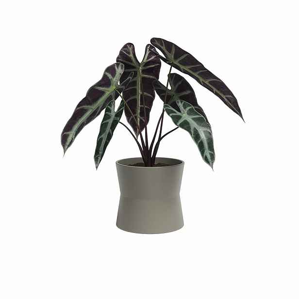 Keramický květináč ø 20 cm Diana – Artevasi