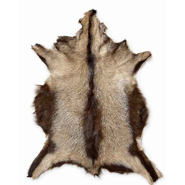 Dekorativní kozí kůže „Béžovo-hnědá“ L/80 cm *přírodní Unikát*