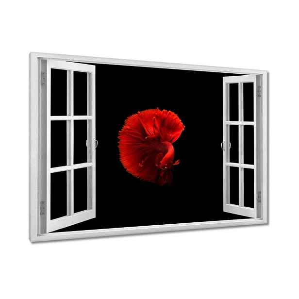 Obrazy 120x80 Bojovník Rybka Červená