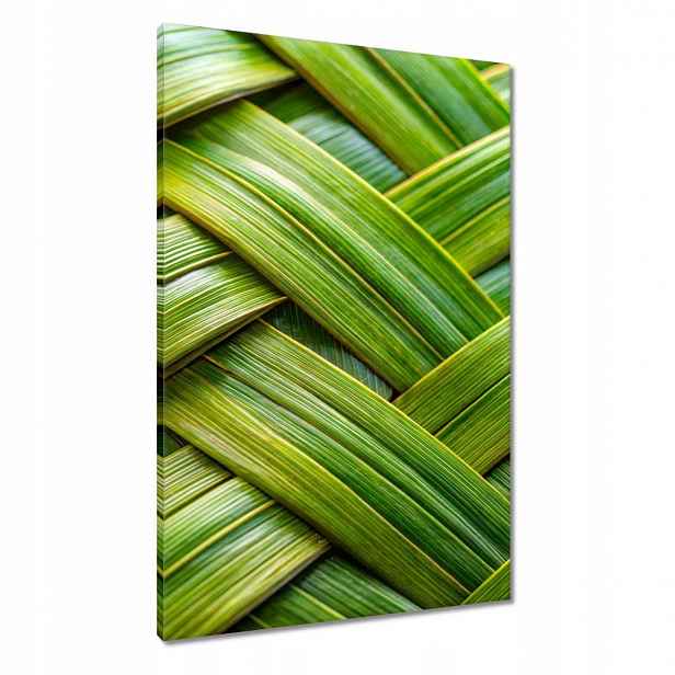 Obrazy 60x90 Zelená pletenina Zelený ratan