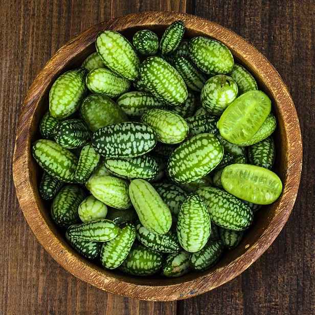 Culina Botanica Okurka Miniokurčička mexická / Kukameloun BIO