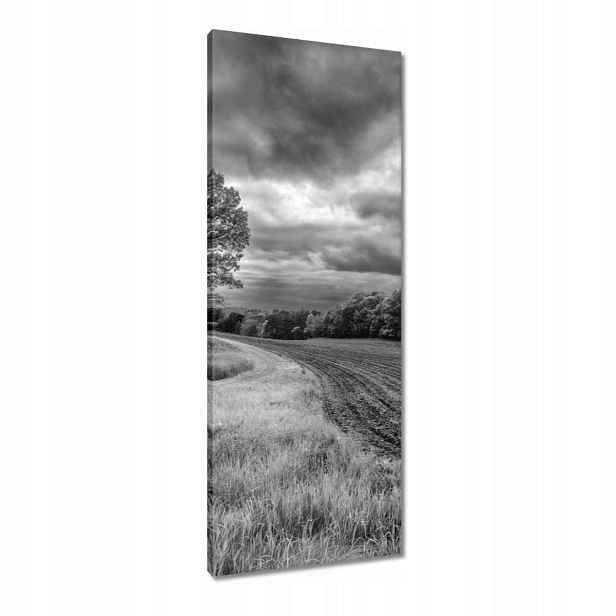 Obrazy 40x100 Černobílé pole