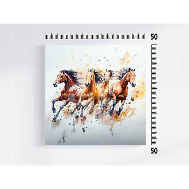 Obraz Na Plátně Canvas Koně Kůň Rumak Běh Cval Zvířata 50x50