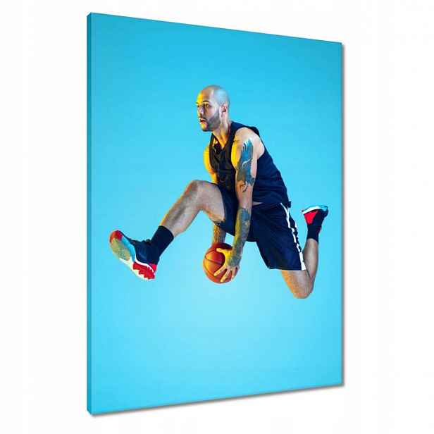 Obrazy 60x80 Basketbalové umění
